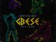 [Music] Destiny Boy – Gbese