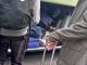 Two migrant men found in luggage hold of coach carrying children back to UK from school trip in France (Photos)