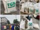 Customs begins sale of seized bags of rice