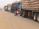 Customs intercepts 15 trucks of food items in Sokoto